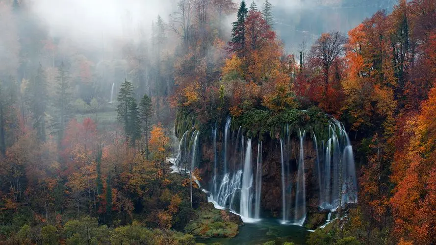 绿色电子绿色